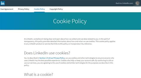 ainudeai|Privacy Policy and Cookies